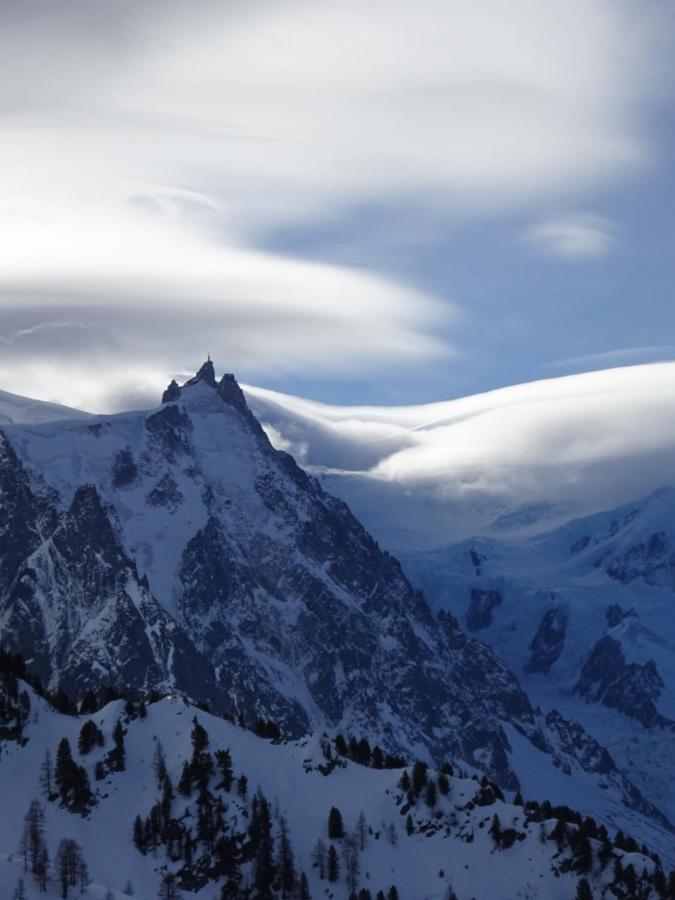 Ski Breezy Chalet Chamonix Exteriör bild